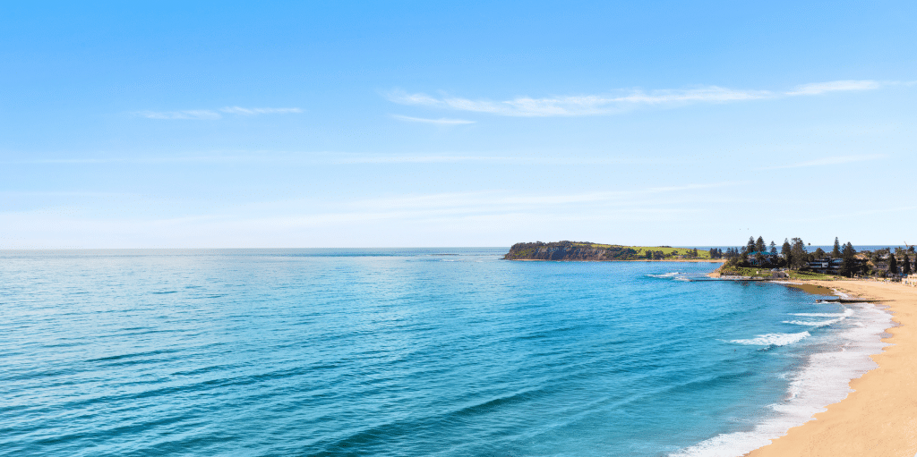 Top Suburbs to Invest 2022 | Northern Beaches